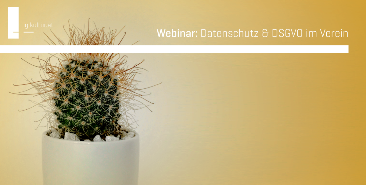 Webinar: Datenschutz und DSGVO im Kulturverein, Mai 2025