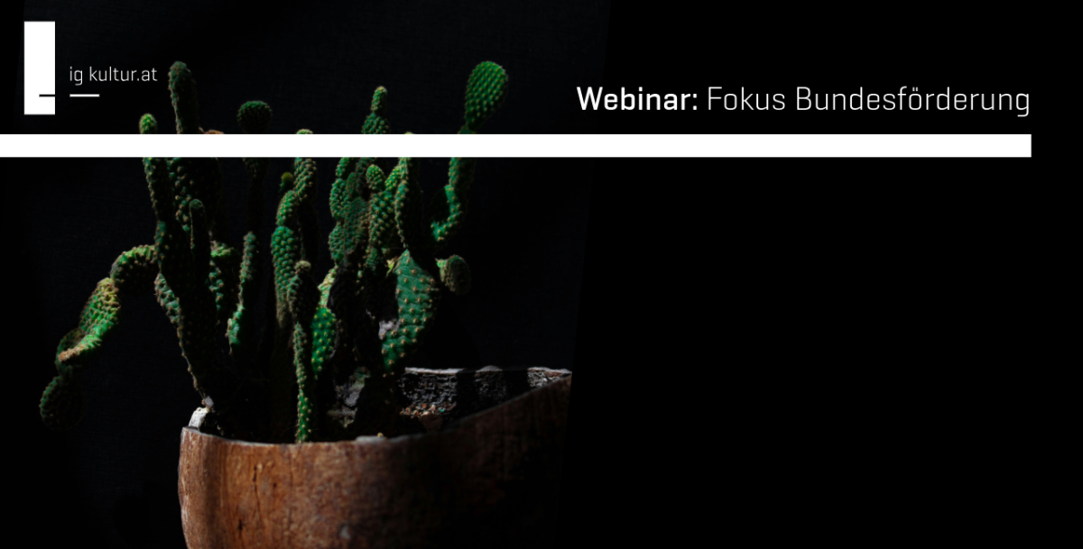 Orientierung im Förderdschungel, Fokus auf Bundesförderung für Kulturinitiativen - dargestellt durch einen Kaktus vor dunklem Hintergrund, der beleuchtet ist;  