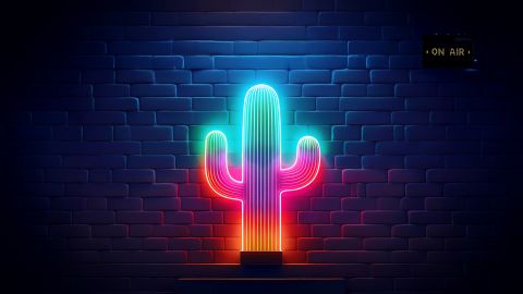 Neon-Kaktus in Türkis, Rosa und Rot