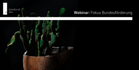 Orientierung im Förderdschungel, Fokus auf Bundesförderung für Kulturinitiativen - dargestellt durch einen Kaktus vor dunklem Hintergrund, der beleuchtet ist;  